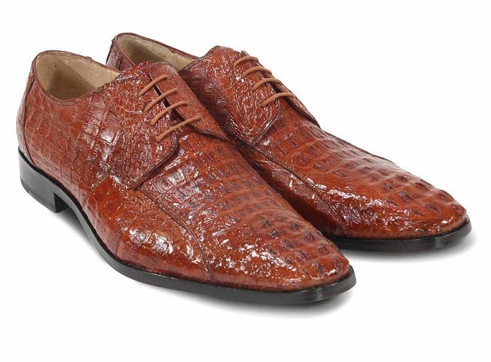 crocodile wear shoes